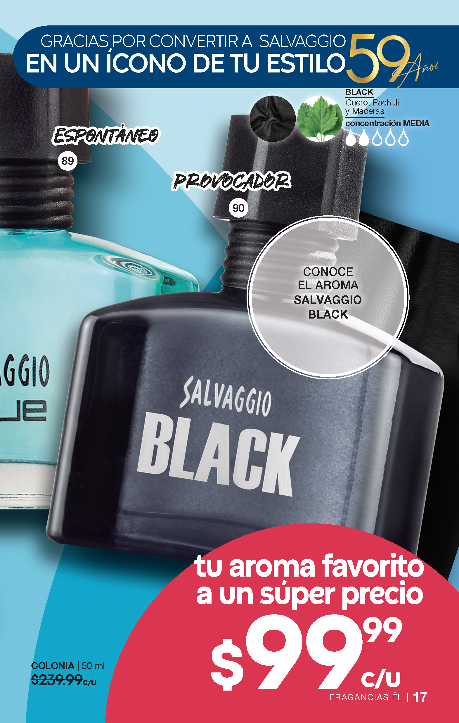 Página 17